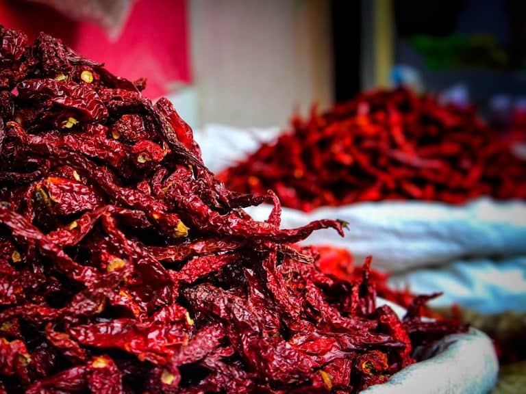 Byadgi pods in bulk — broad and deeply wrinkled along their length, a dark crimson red with a matte surface, noticeably longer than Teja.