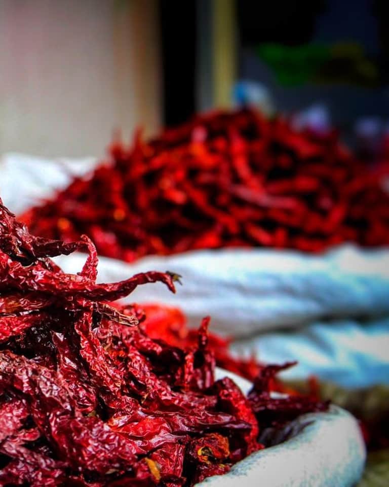 Byadgi pods in bulk — broad and deeply wrinkled along their length, a dark crimson red with a matte surface, noticeably longer than Teja.