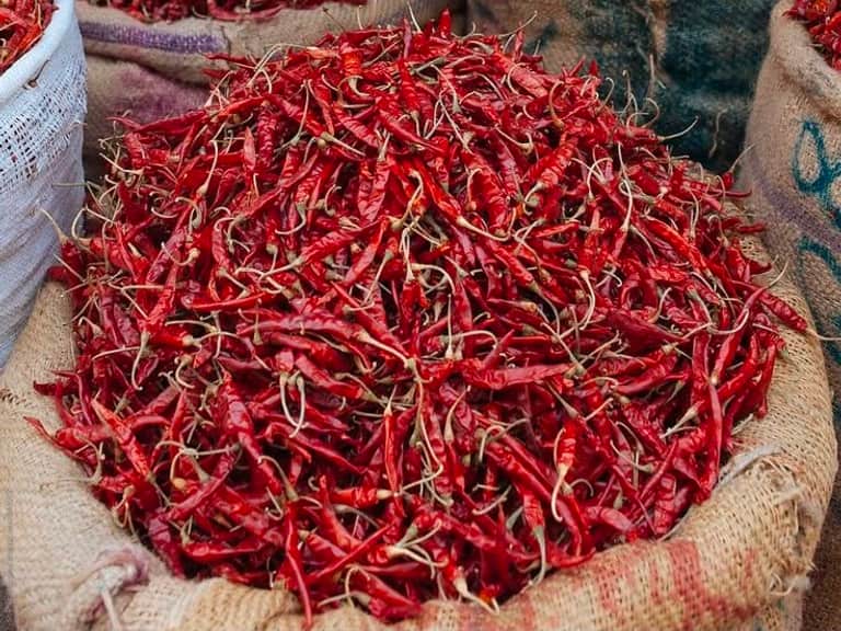 Sannam S4 pods in bulk — uniform medium-length pods of even thickness, bright red with a lightly ridged skin and stems attached.