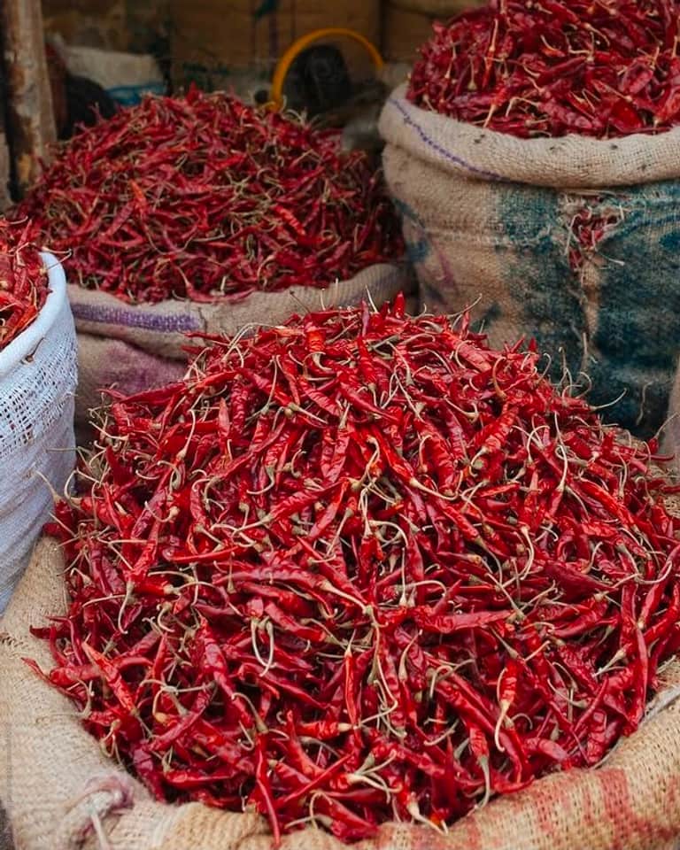 Sannam S4 pods in bulk — uniform medium-length pods of even thickness, bright red with a lightly ridged skin and stems attached.